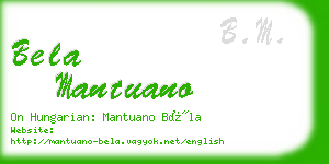 bela mantuano business card